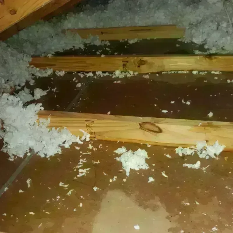 Attic Water Damage in Le Sueur County, MN